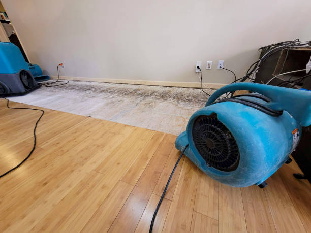Professional Water Damage Repair technician working in Bruin, PA